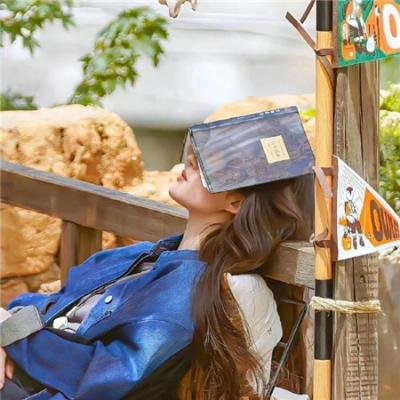 终结杉计划 封面